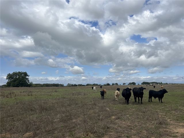 51 AC FM 2413, Bremond, TX 76629