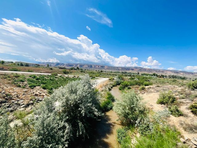 1232 Greenway Drive, Fruita, CO 81521