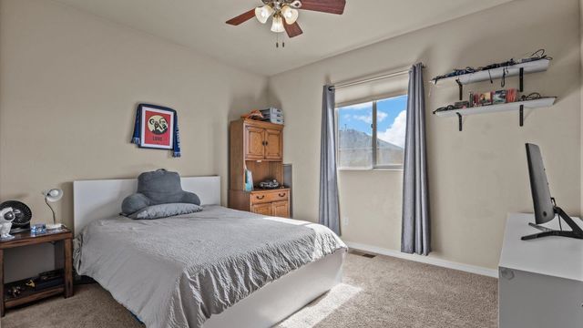 951 Vintners Court, Fruita, CO 81521