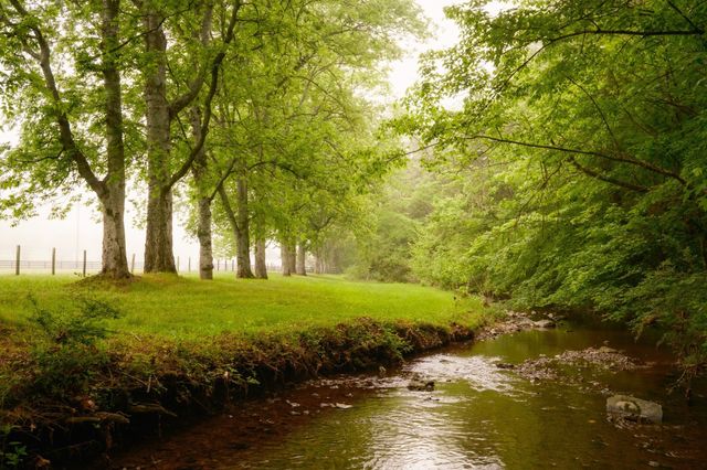 5620 Leipers Creek Rd, Franklin, TN 37064