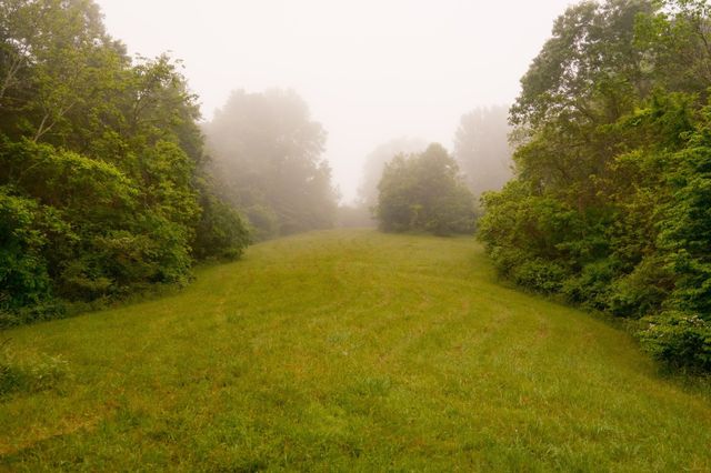 5620 Leipers Creek Rd, Franklin, TN 37064