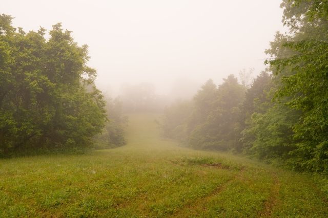 5620 Leipers Creek Rd, Franklin, TN 37064