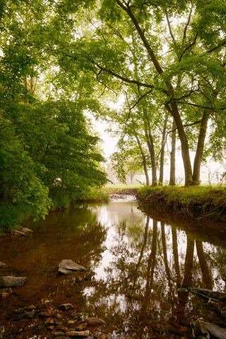 5620 Leipers Creek Rd, Franklin, TN 37064