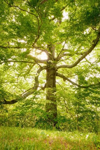 5620 Leipers Creek Rd, Franklin, TN 37064