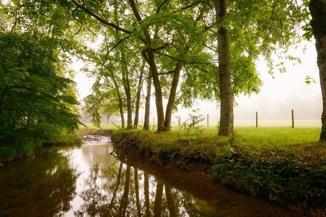 5620 Leipers Creek Rd, Franklin, TN 37064