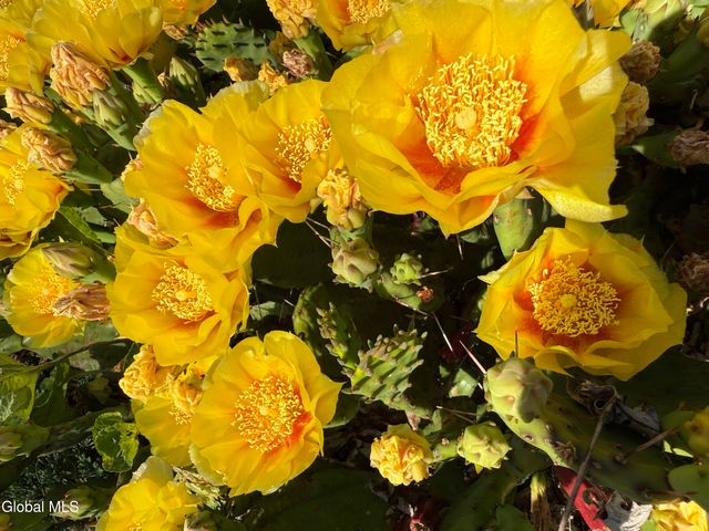 18 Friar Tuck Road, Guilderland, NY 12203