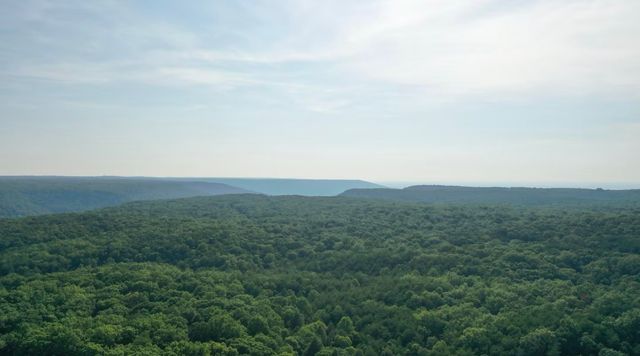 64 Hemlock Cv, Tracy City, TN 37387