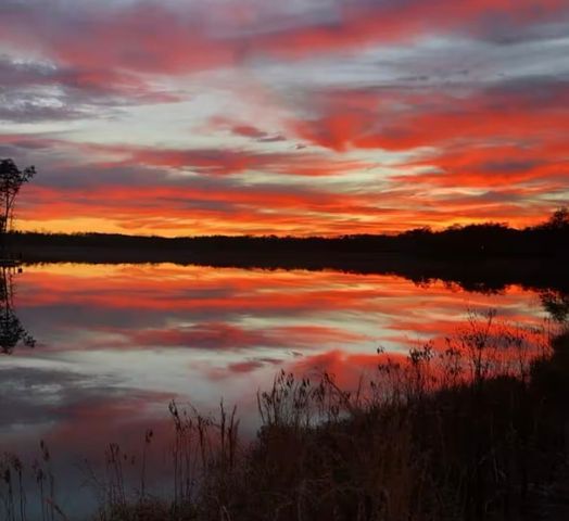 64 Hemlock Cv, Tracy City, TN 37387