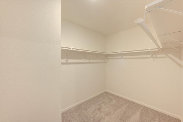 10207 Purple Daphne Lane, Houston, TX 77016