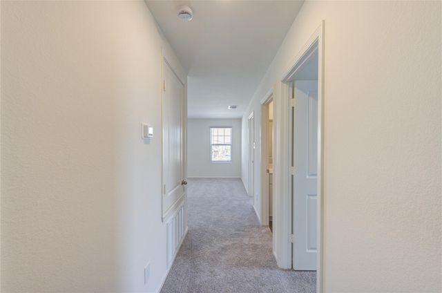 10207 Purple Daphne Lane, Houston, TX 77016