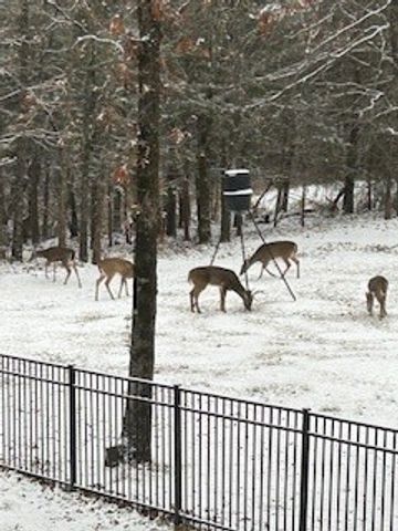 3515 S Eliza Lane, Farmington, AR 72730