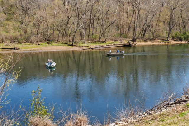 440 Fall Creek Drive Apt 4, Branson, MO 65616