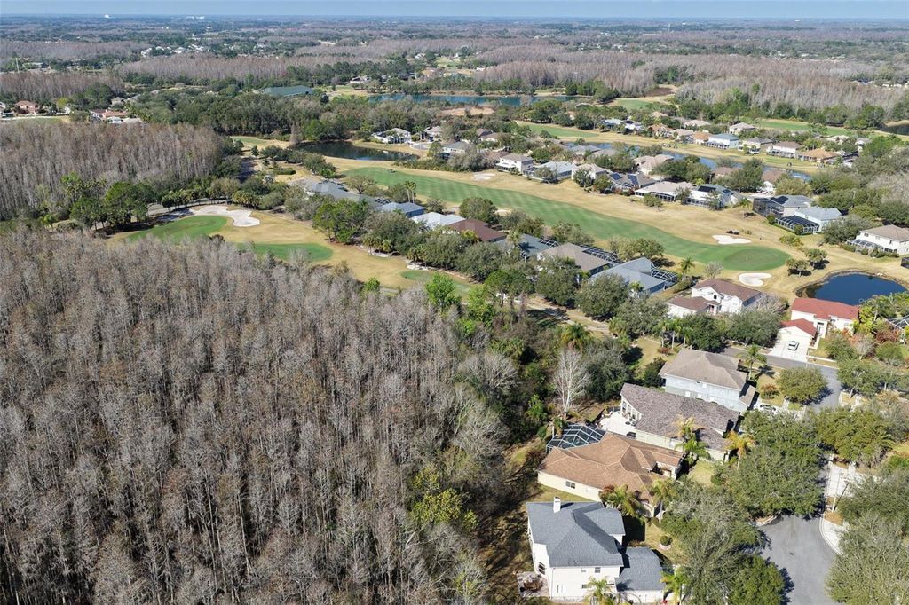 Image 52 of property listing at 18110 TURTLE BEACH WAY, Tampa, FL 33647