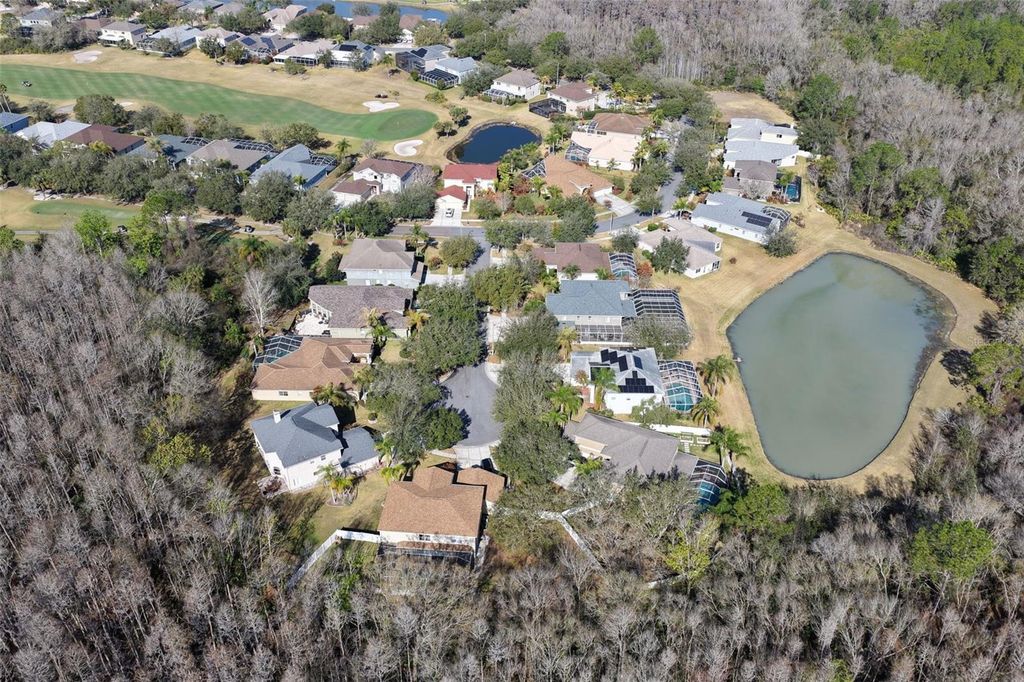 Image 54 of property listing at 18110 TURTLE BEACH WAY, Tampa, FL 33647