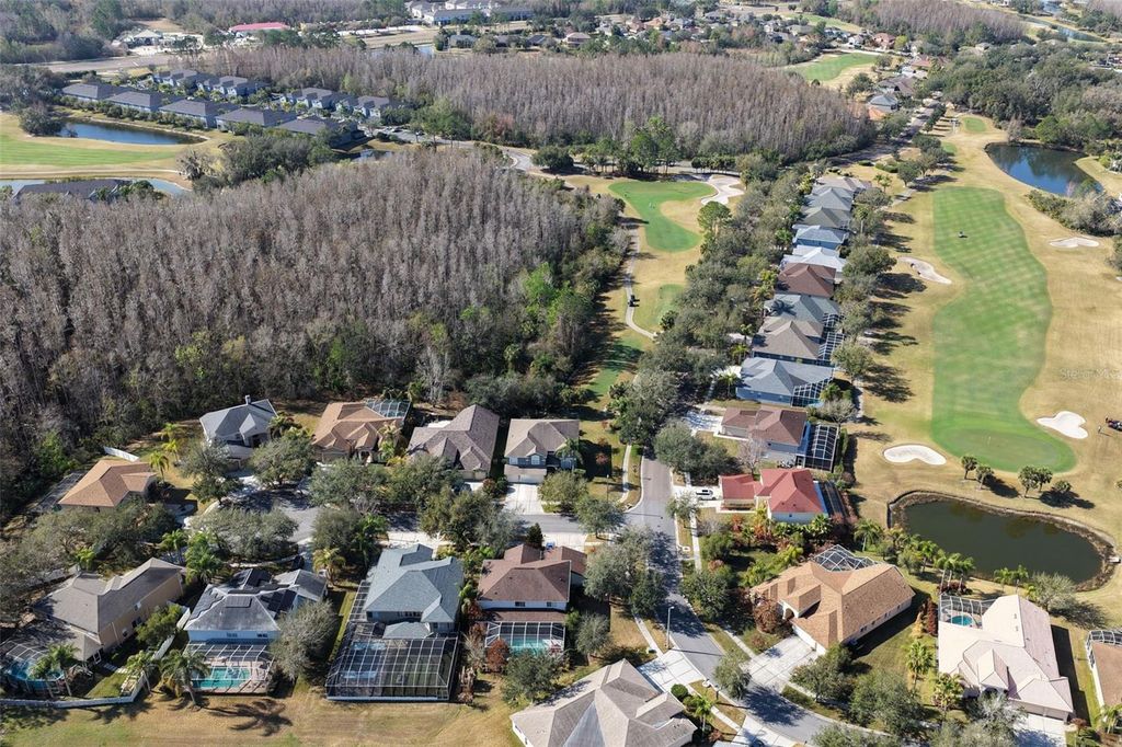 Image 56 of property listing at 18110 TURTLE BEACH WAY, Tampa, FL 33647