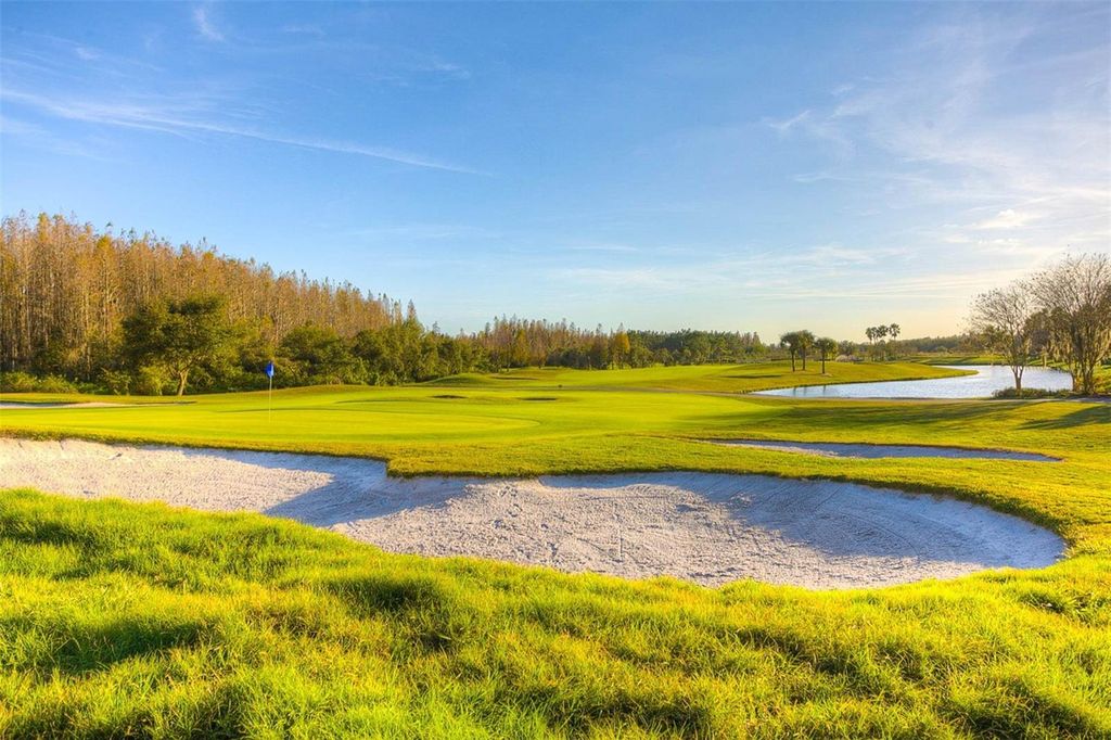 Image 70 of property listing at 18110 TURTLE BEACH WAY, Tampa, FL 33647