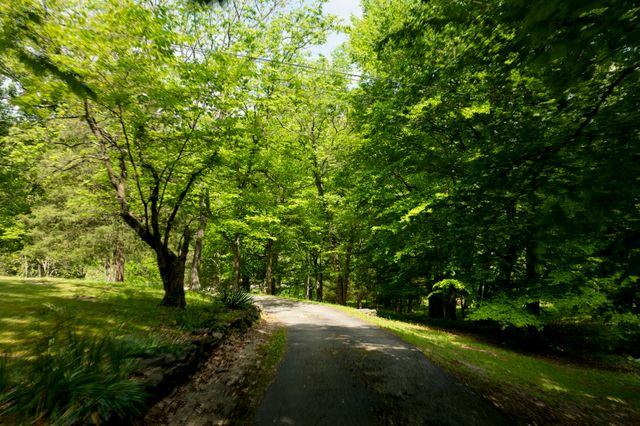 380 Mt Olive Cemetery Rd, Lynnville, TN 38472