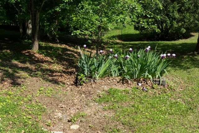 380 Mt Olive Cemetery Rd, Lynnville, TN 38472