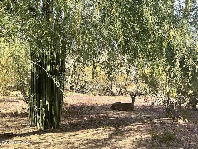 4390 W Camino Nuestro, Tucson, AZ 85745