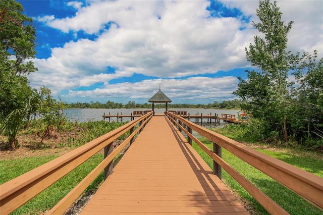 21040 GREEN WING COURT, Land O Lakes, FL 34637