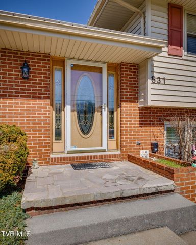 531 Wilson Street, Church Hill, TN 37642