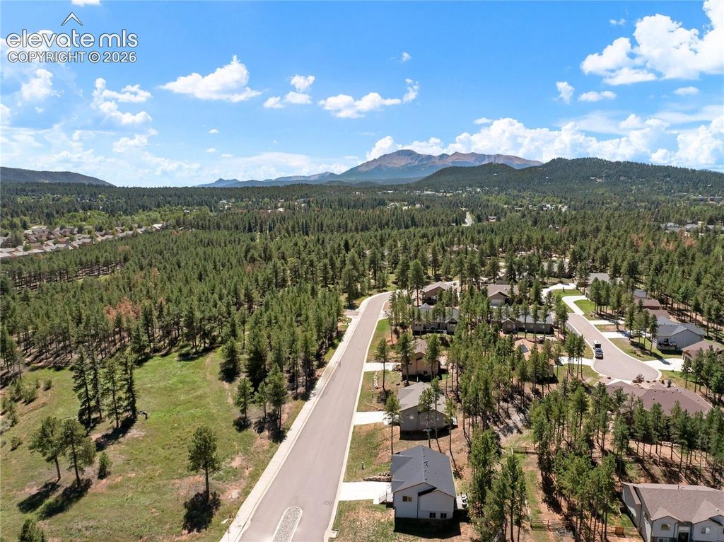 1382 Ridgestone Drive, Woodland Park, CO 80863 — photo 2