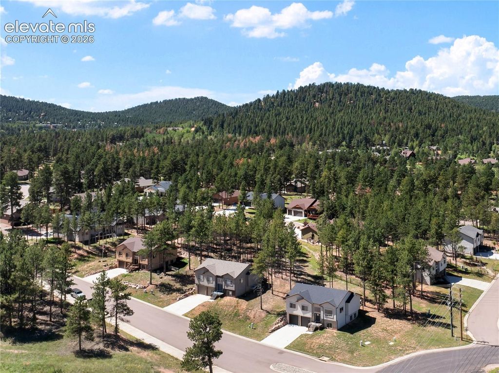 1382 Ridgestone Drive, Woodland Park, CO 80863 — photo 4