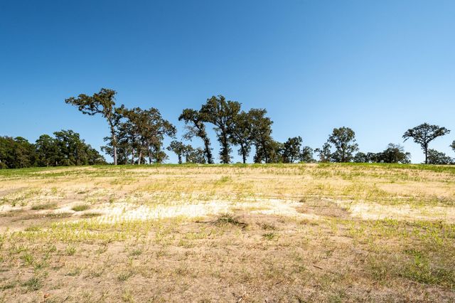 Lot 23 Island View, Livingston, TX 77351