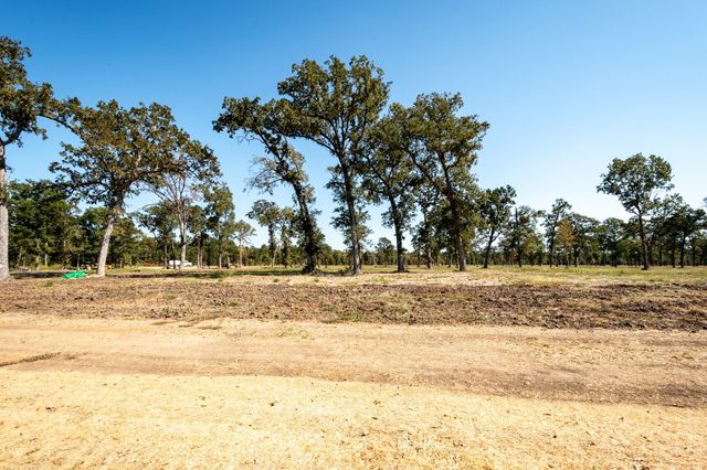 Lot 23 Island View, Livingston, TX 77351