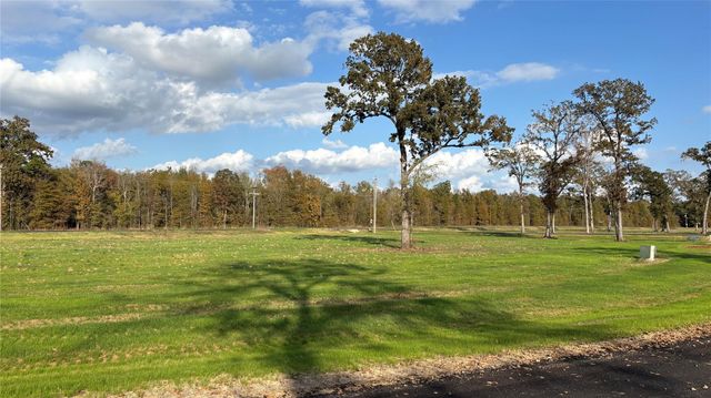 Lot 23 Island View, Livingston, TX 77351