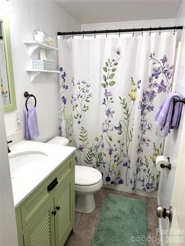 10755 NC 209 Highway, Hot Springs, NC 28743