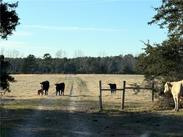 1681 County Road 3800, Lamar, AR 72846