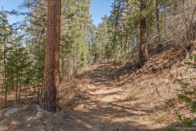 8722 S Ault Lane, Morrison, CO 80465