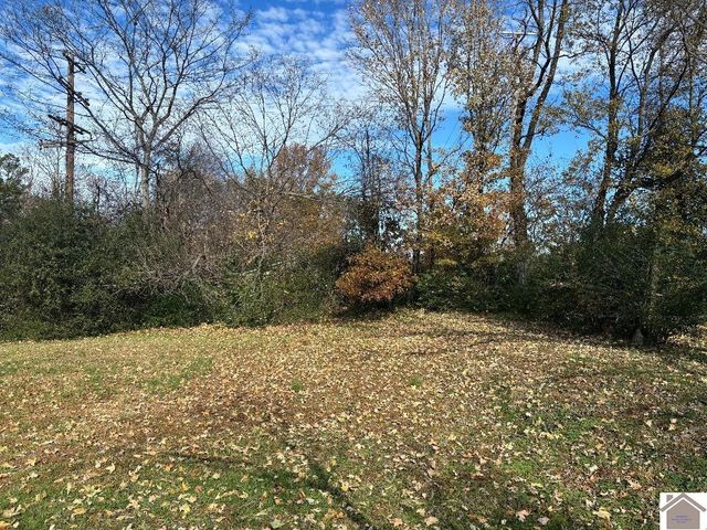 507 Barger, Mayfield, KY 42066