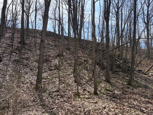 5440 Wilkinson Road, Hector, NY 14841