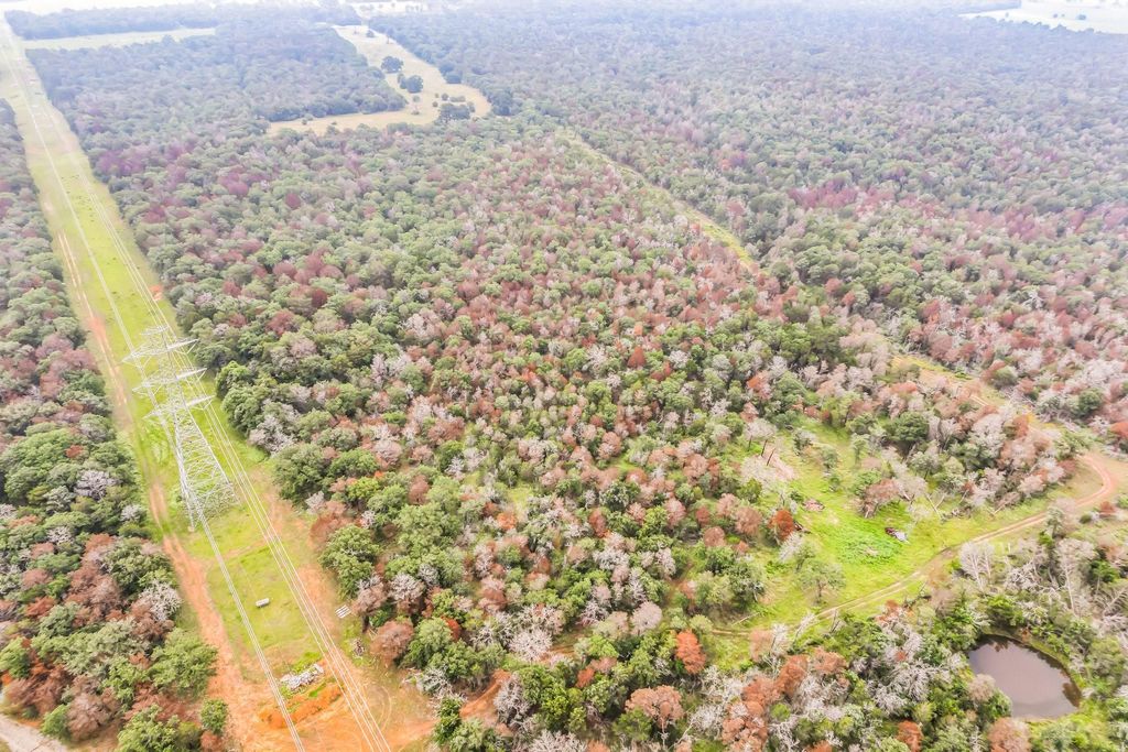 1360 Sand Hills RD A, Red Rock, TX 78662