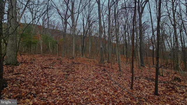 TBD FOREST DRIVE EXT, Luray, VA 22835