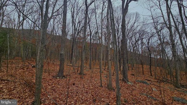 TBD FOREST DRIVE EXT, Luray, VA 22835