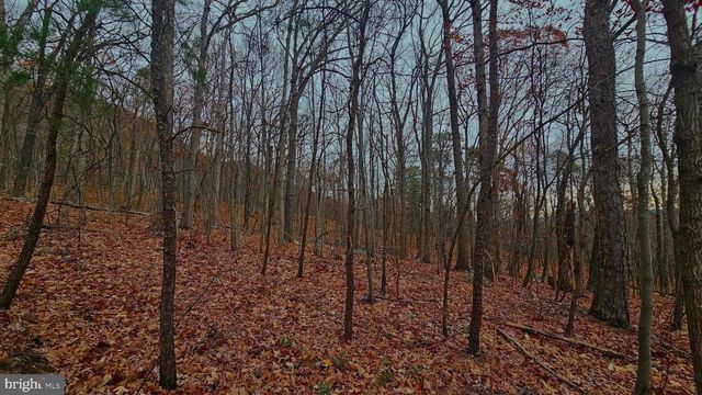 TBD FOREST DRIVE EXT, Luray, VA 22835