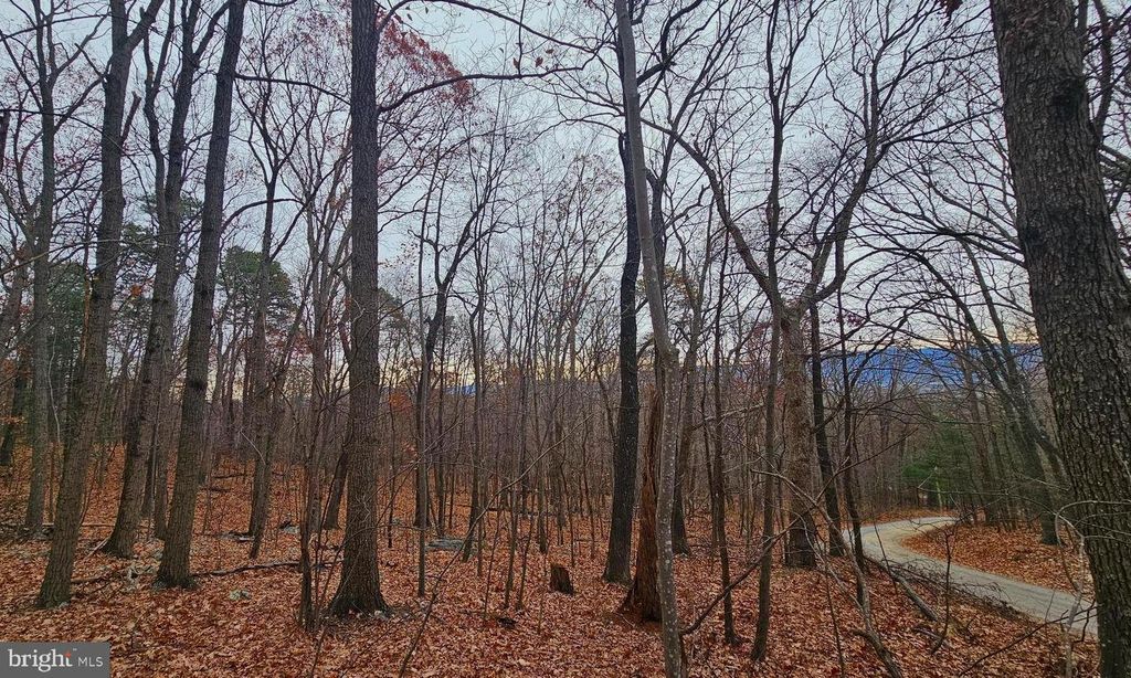 TBD FOREST DRIVE EXT, Luray, VA 22835