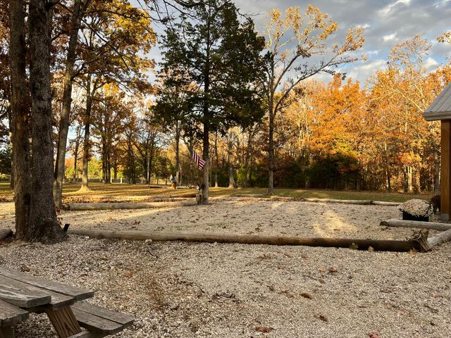 1002 Pleasant Grove Road, Fordland, MO 65652