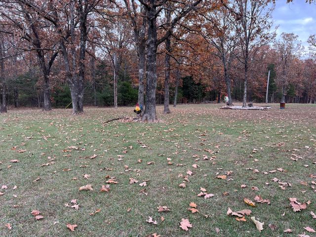 1002 Pleasant Grove Road, Fordland, MO 65652