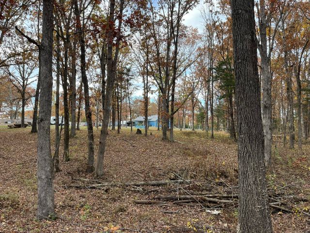 1002 Pleasant Grove Road, Fordland, MO 65652