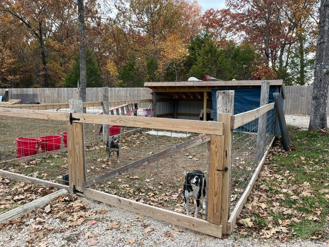 1002 Pleasant Grove Road, Fordland, MO 65652