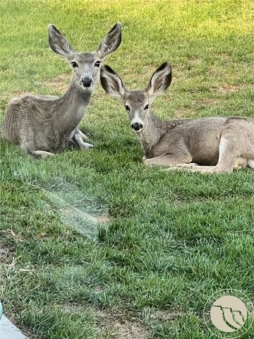 4012 Sanctuary Canyon ROAD, Billings, MT 59101