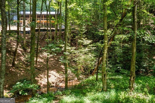 641 Bryant Farm Lane, Ellijay, GA 30540