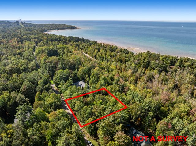 6 N Country Club Drive 6, Hayes Twp, MI 49720