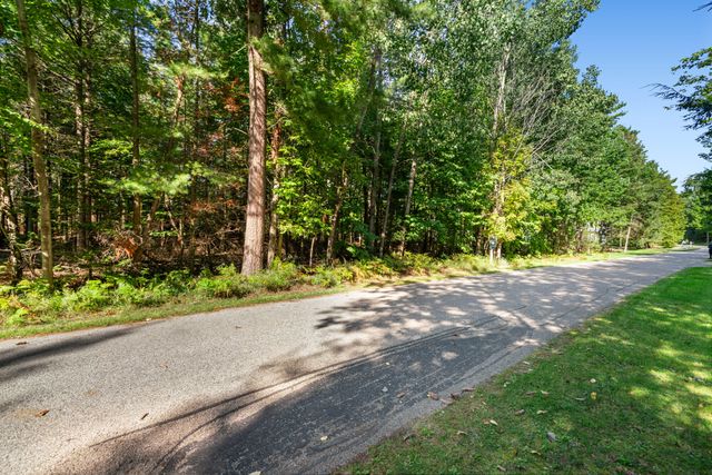 6 N Country Club Drive 6, Hayes Twp, MI 49720