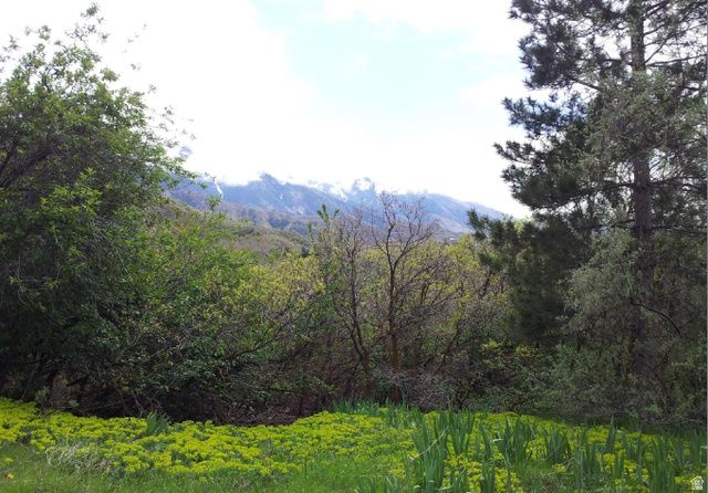 3720 E GOLDEN OAKS DR, Cottonwood Heights, UT 84121