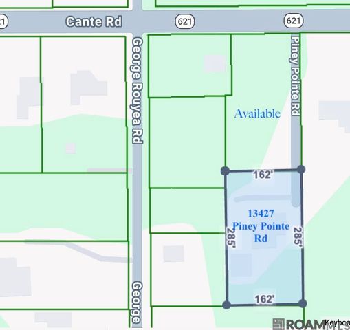 13427 Piney Pointe Road, Gonzales, LA 70737